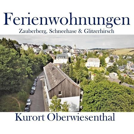 Ferienwohnungen Zauberberg, Schneehase & Glitzerhirsch 奥泊维森塔尔 外观 照片