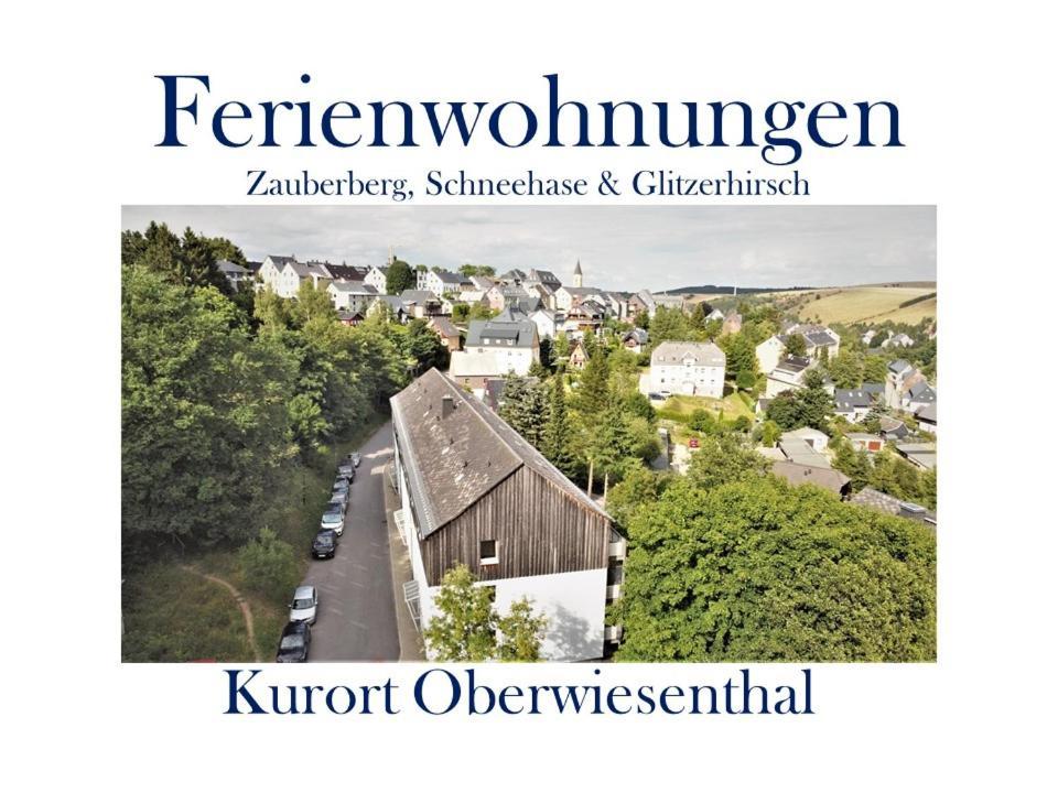 Ferienwohnungen Zauberberg, Schneehase & Glitzerhirsch 奥泊维森塔尔 外观 照片